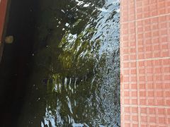 -侠成水上农庄(工业大道店)