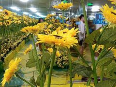 -天津梵高星空艺术馆(天河城旗舰店)