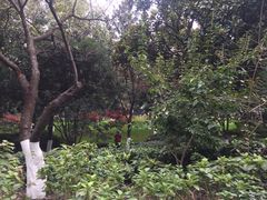 -常州古运河南大街文化旅游区-人民公园