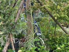 -三圣花乡旅游区