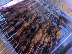 -清真·马峰烤肉(小学习北巷店)