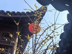 -檀园