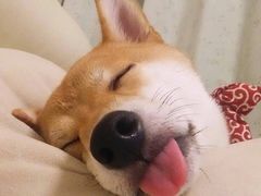 -瑞幸咖啡(厦门SM二期新生活广场店)
