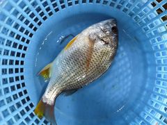 -沙头涌渔栏海鲜餐厅