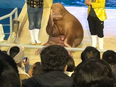 -泉城欧乐堡海洋极地世界
