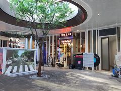 -黑胶星球(华发中城商都店)