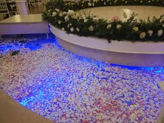 -河内西湖莲花自助餐厅
