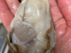 -岳各庄批发市场(西四环中路店)