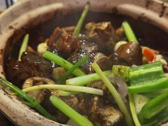 生啫金边花鳝-天宝食坊·啫啫煲大排档(西华路店)