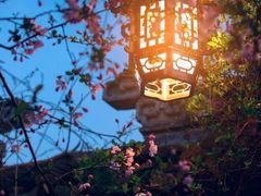 -苏州冶园园林民宿(太湖西山风景区店)