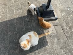 -鸡鸣驿城
