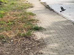 -北运河水利风景区