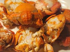 -视界美食自助餐厅·石家庄希尔顿酒店