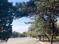 -北陵公园