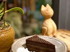 -No Cat 手碟