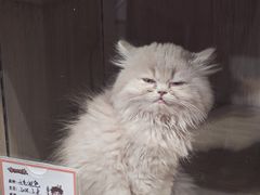 -天河领展广场
