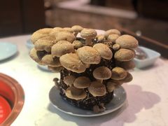 -捞神汤物料理(正大广场店)