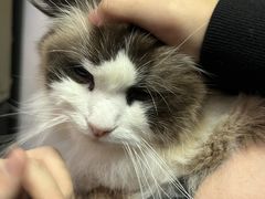 -零纪元VR体验馆·桌游(黄浦店)