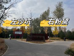 -东郊湿地公园