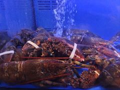 -稻香酒家·34年老字号·港式粤菜(侨光店)