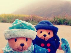 android_upload_pic-广州市石门国家森林公园
