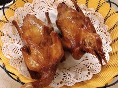 -百利鸽王(紫薇路店)