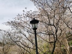 -中山公园