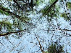 -洛阳白云山景区