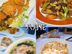 -美心皇宫(沙田大会堂店)