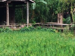 -驿舍·民國老营房院子私房菜(科学会堂店)