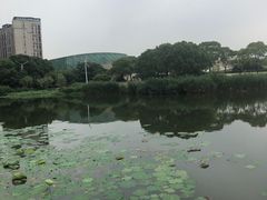 -新江湾城公园