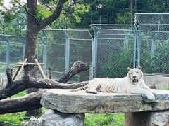 -上海野生动物园