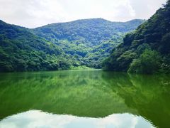 -黄埔油麻山森林公园