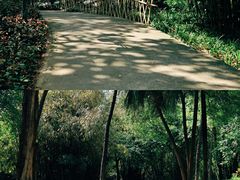 -晓港公园