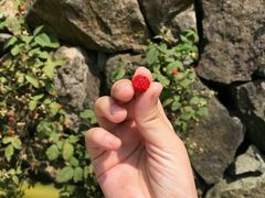 -会稽山峡洞漂流-上青古道