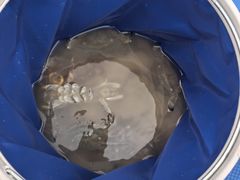 -日照世帆赛基地