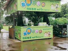-广州长隆飞鸟乐园