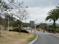 -白石龙音乐公园