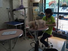 -贝妮宠物医院