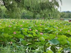 -承德避暑山庄景区