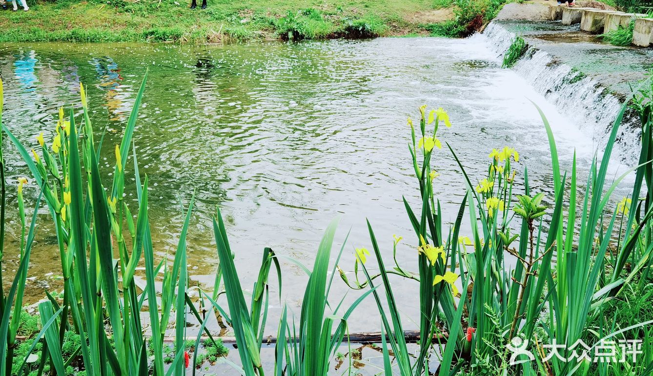 春天怎可不出去野餐煮茶呢？