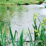 春天怎可不出去野餐煮茶呢？