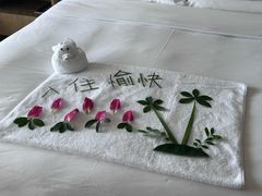 -三亚亚龙湾万豪度假酒店