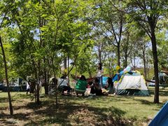 -天津东丽湖风景区