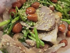 -东鸽皇(奥园·中环广场店)