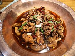 -成老灶火锅鸡(高东街店)