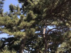 -长春公园(普阳街道)