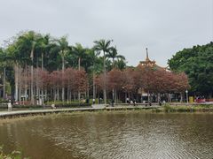 -金砂公园