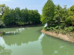 -贡湖湾湿地公园