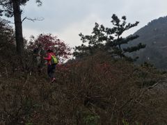 -木兰云雾山